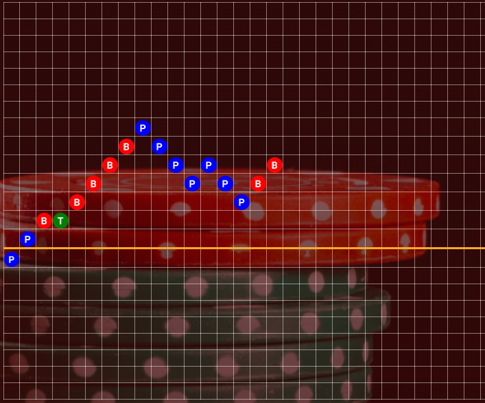 กราฟสูตรบาคาร่า